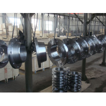 Stainless Steel Orifice Flange